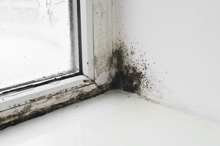 Schimmel in de slaapkamer bij het kozijn.