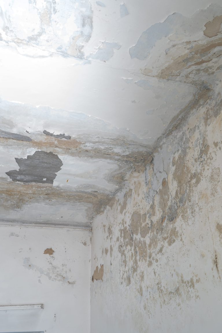 Gevolgen schimmel op het plafond