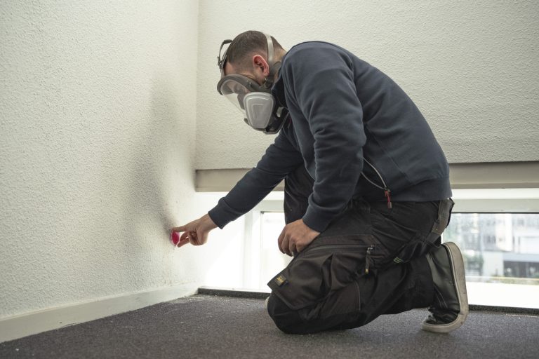 Mould control company
